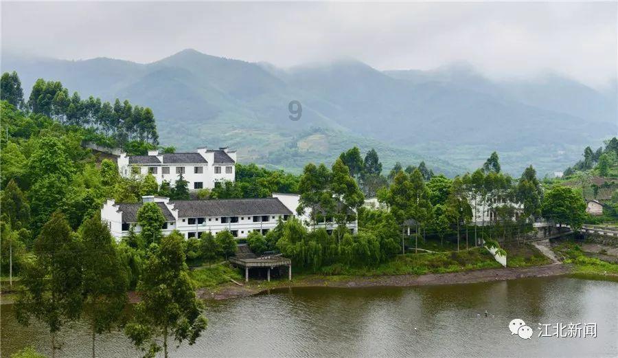 穿越遗弃的森林