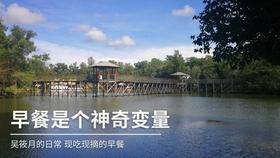 雷达导波液位计